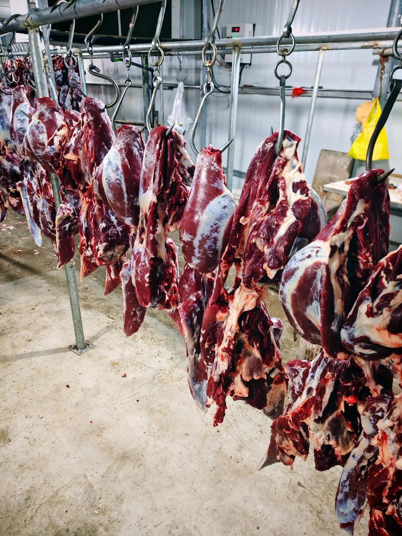 牛肉批发